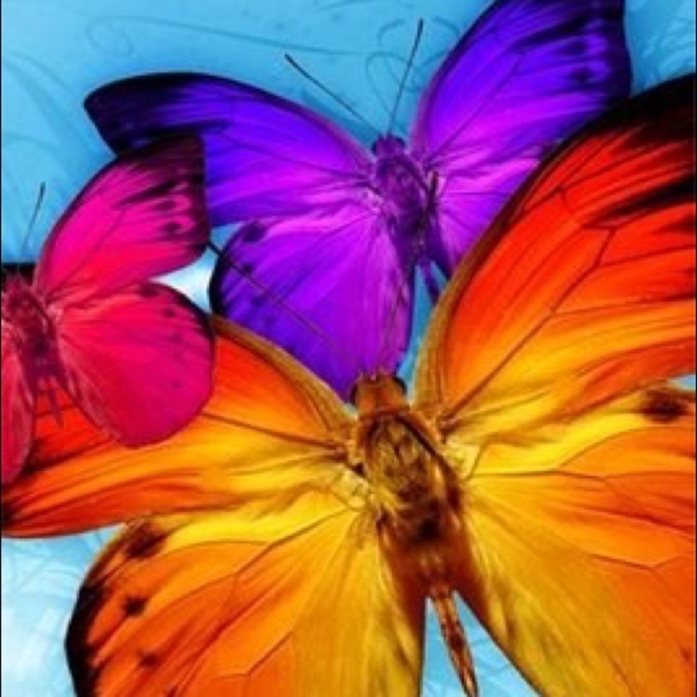 Meet your Posher, Jawana